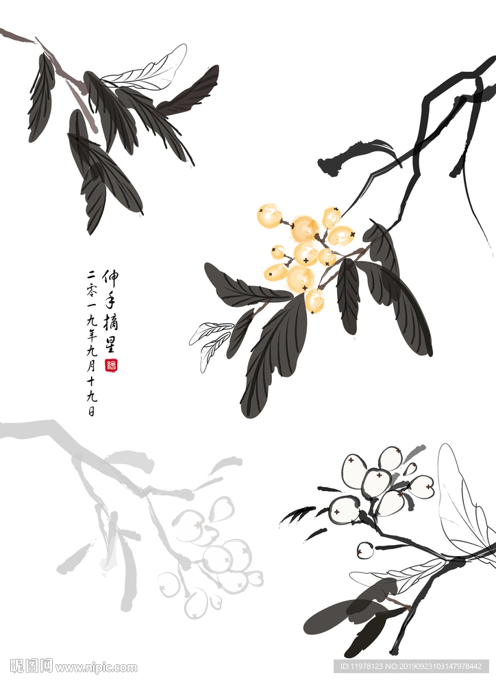 枇杷