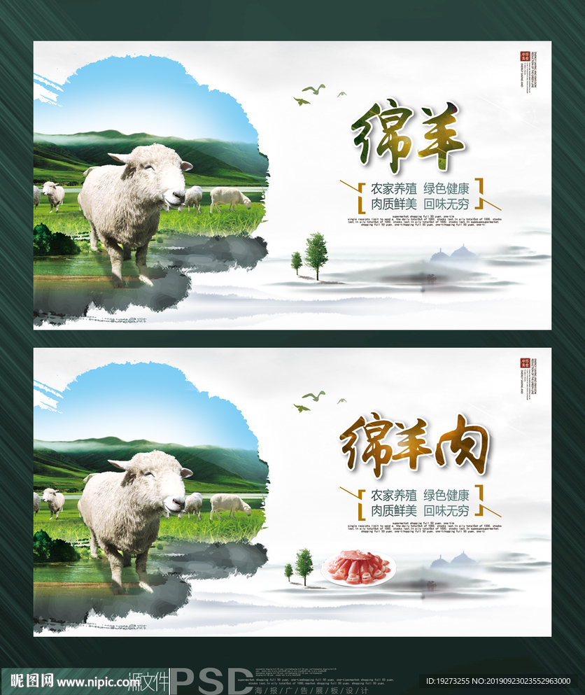 绵羊