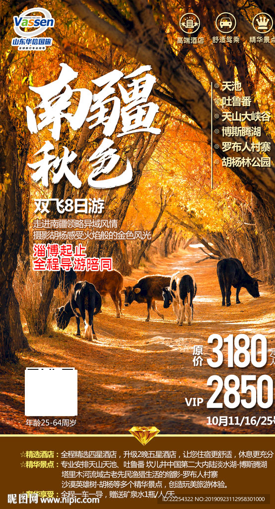 胡杨林旅游 胡杨林海报 额济