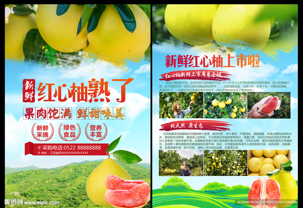 红心柚子宣传单