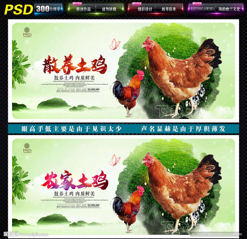 土鸡