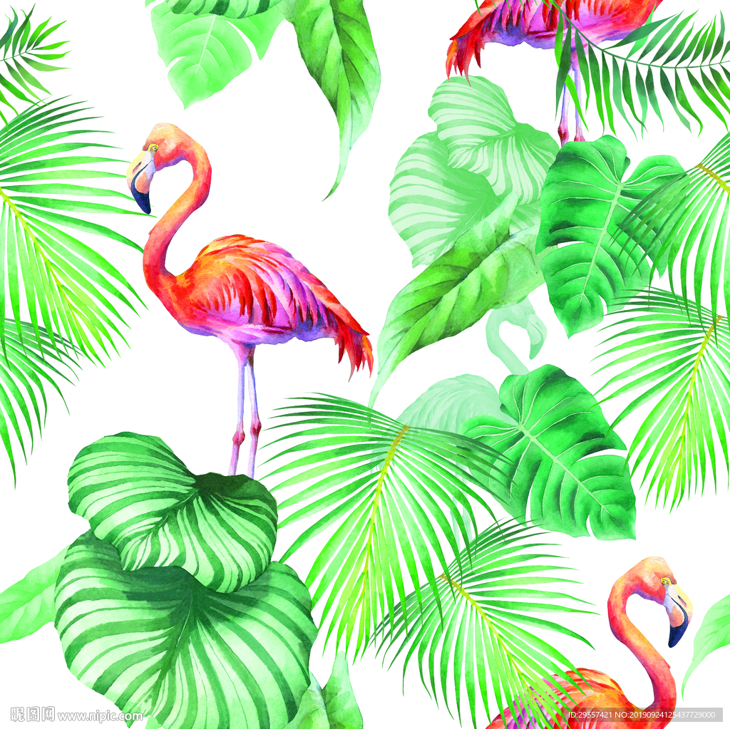 火烈鸟