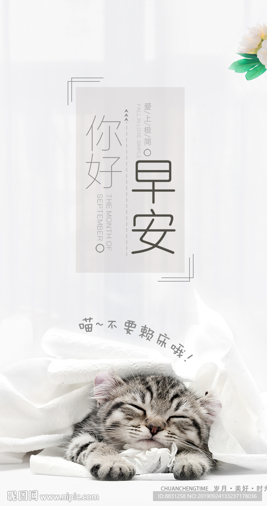 早安 朋友圈宣传 猫 早安海报