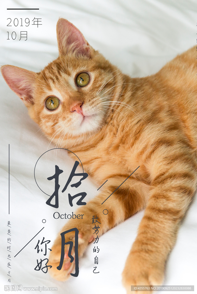 10月你好 十月