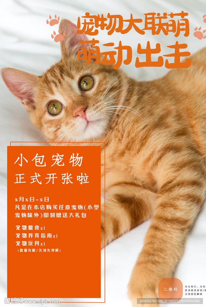 宠物 宠物大联盟 萌动出击
