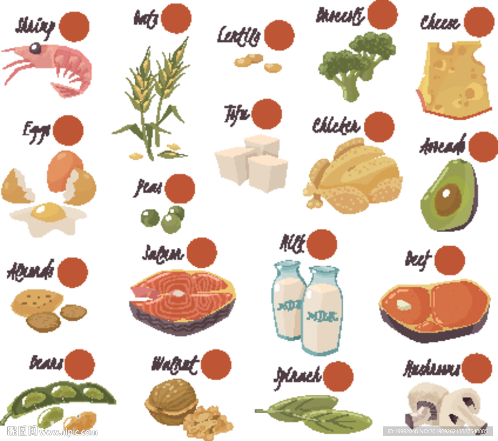 矢量食谱食物素材