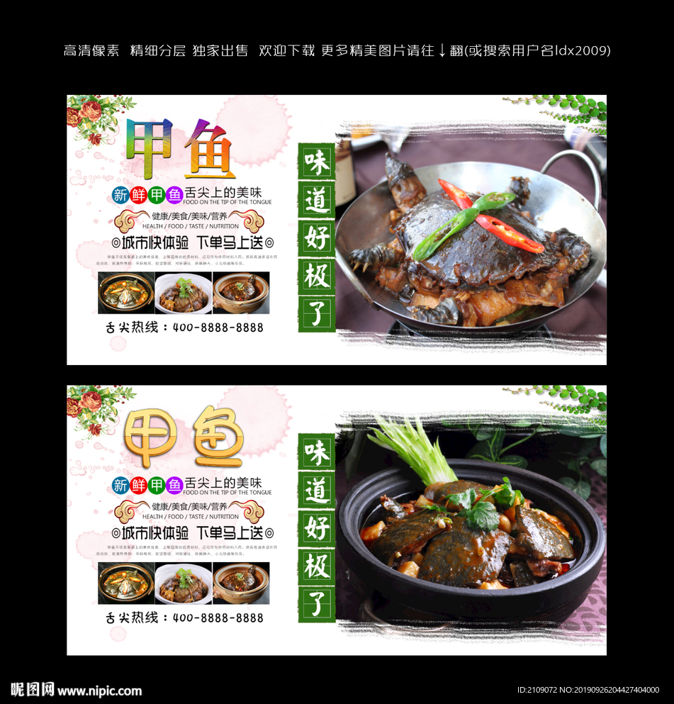 甲鱼