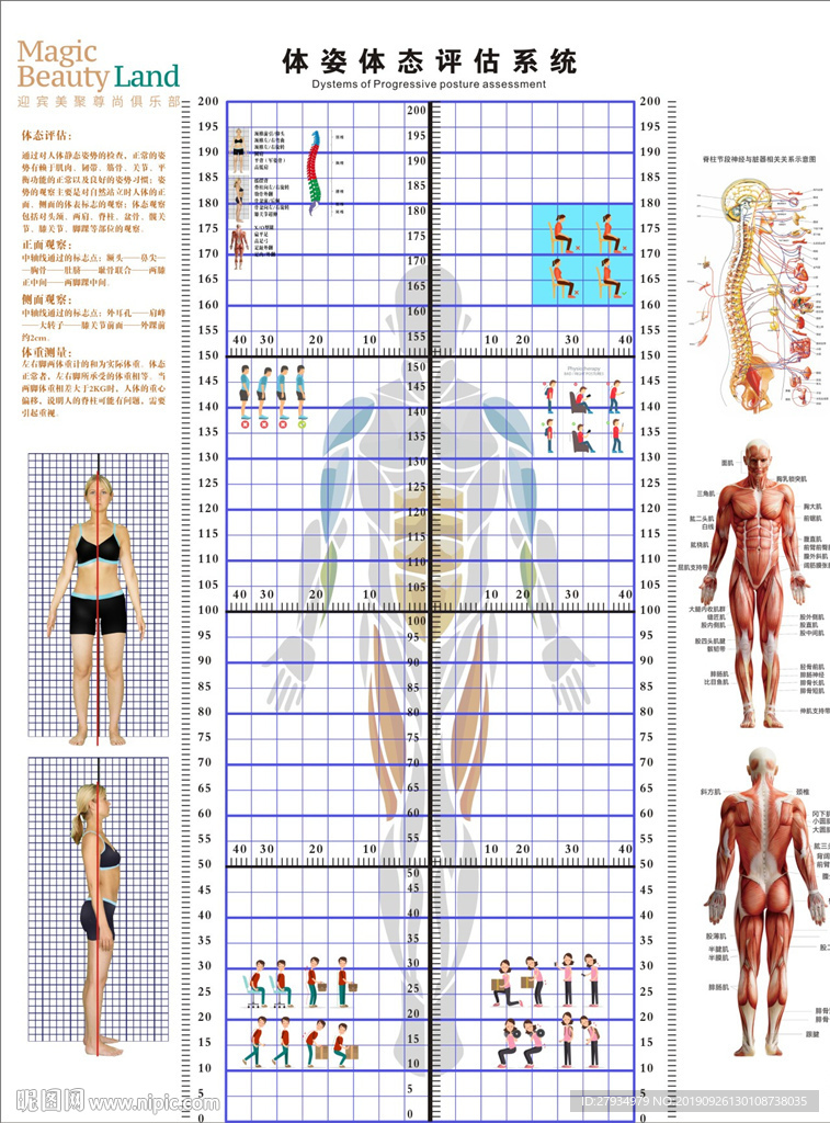 体姿体态评估系统