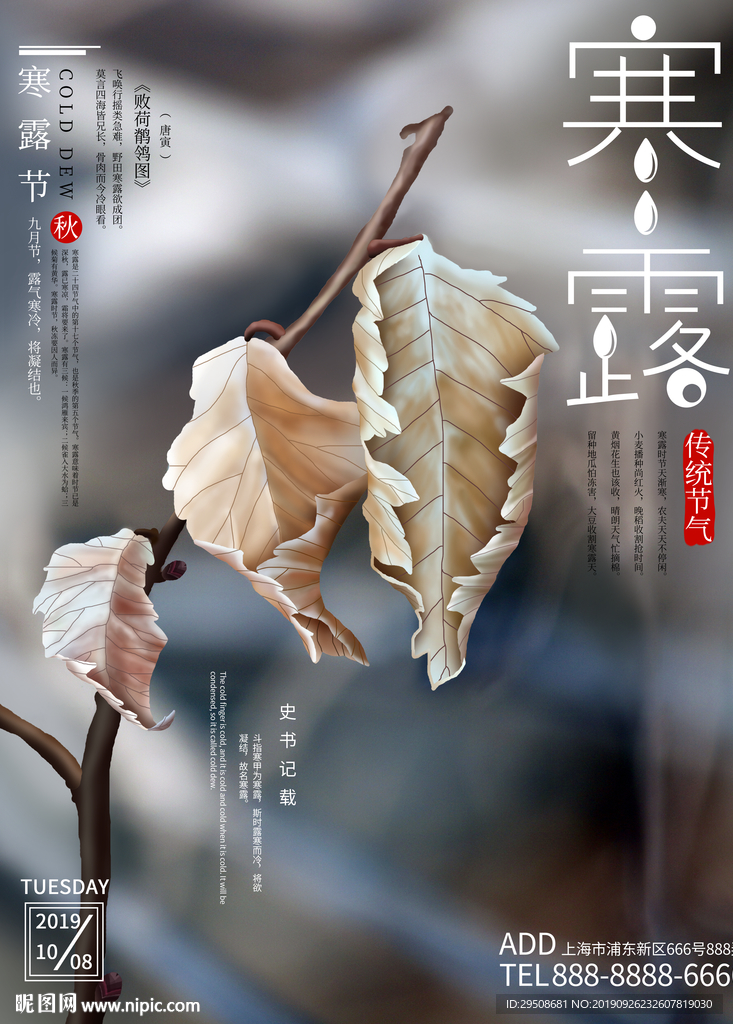 寒露