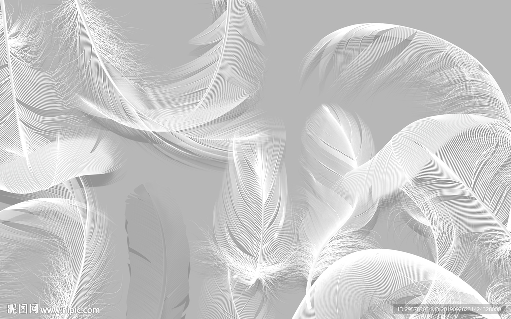 灰色白色羽毛装饰画 TIF分层