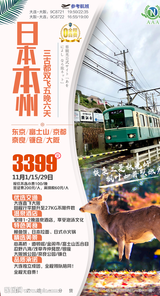 日本 秋天红叶 镰仓 奈良小鹿