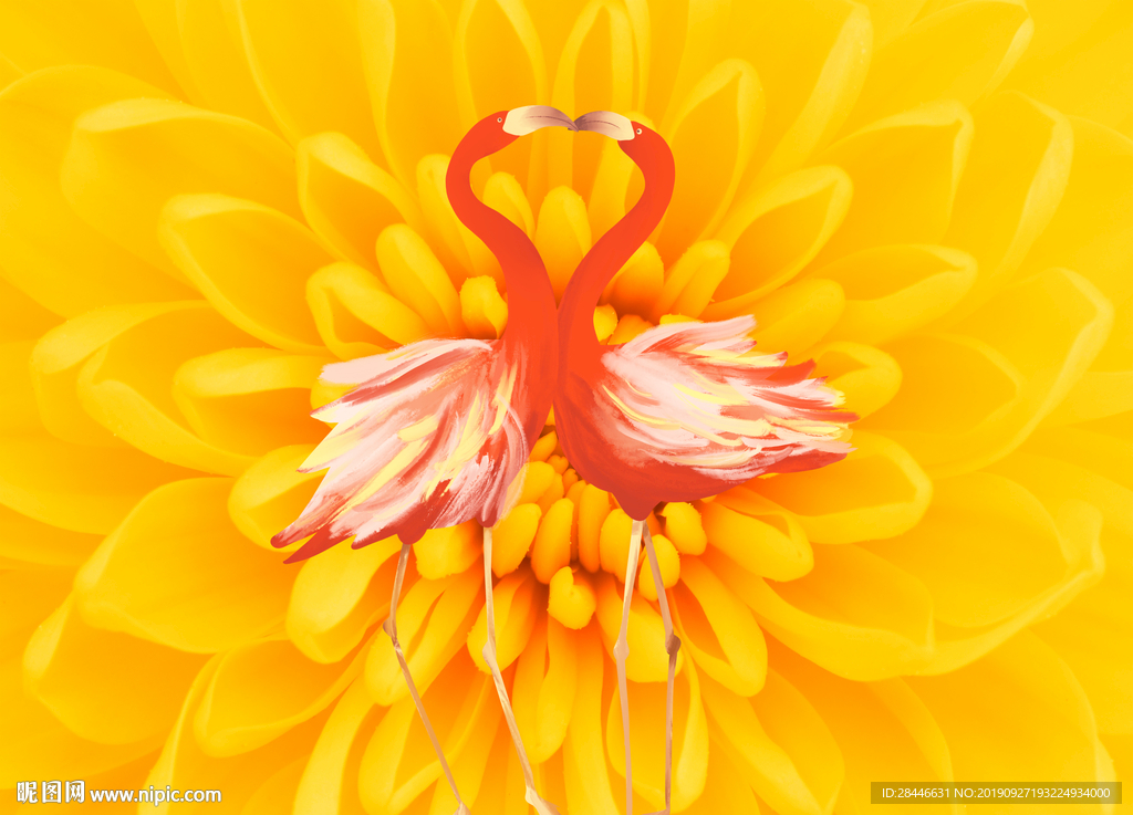 网红背景拍照 火烈鸟