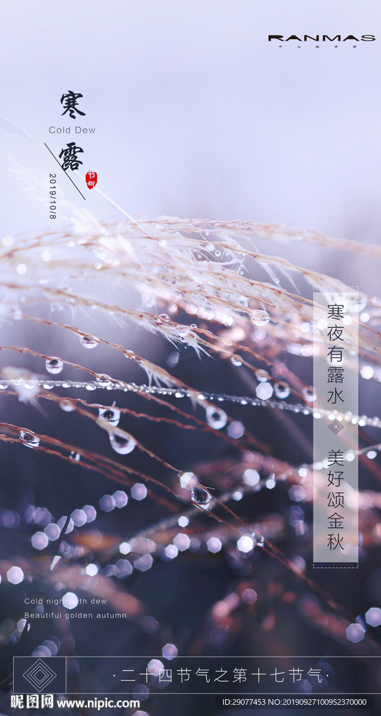 寒露