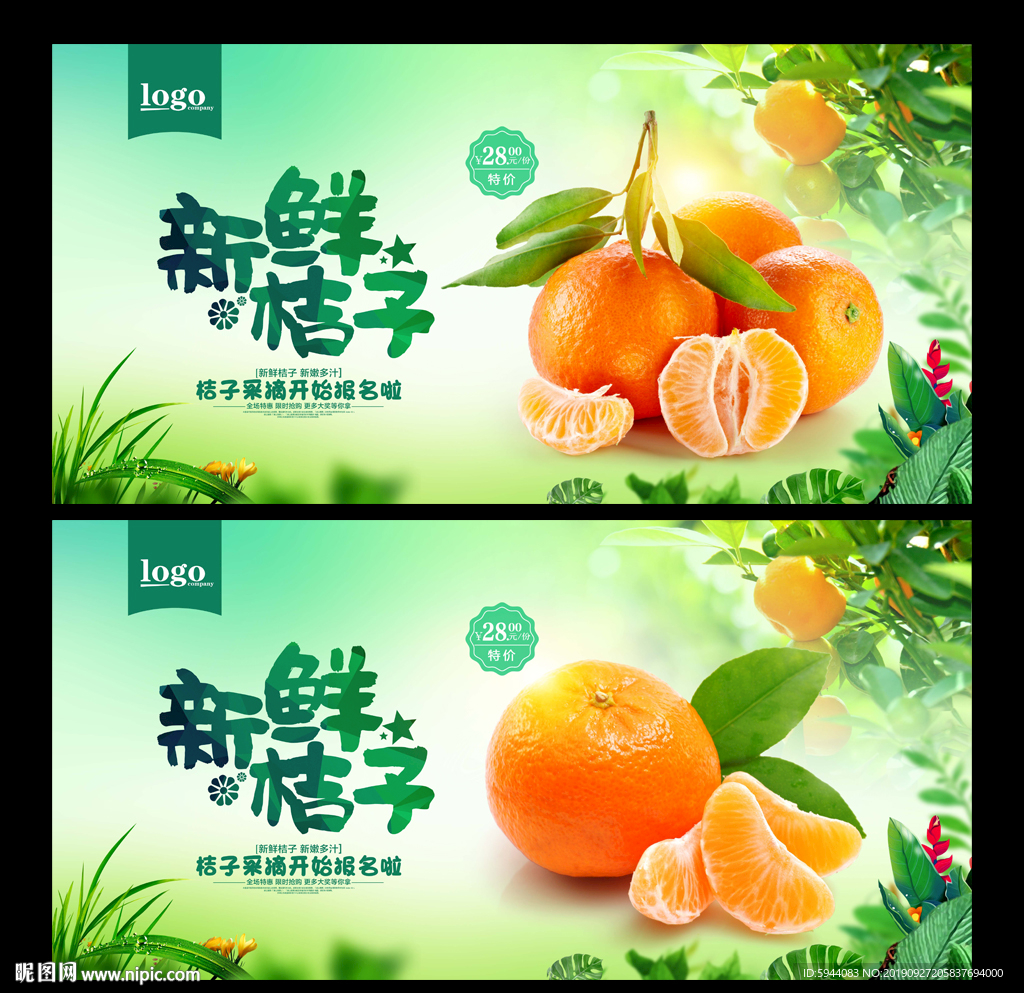 橘子摄影图__水果_生物世界_摄影图库_昵图网nipic.com