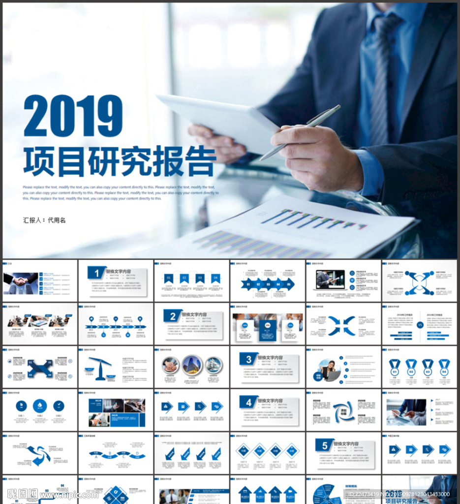 项目研究报告PPT