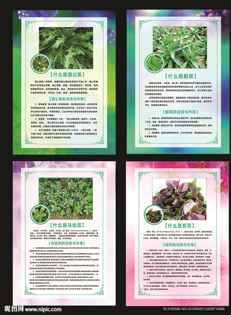 蔬菜