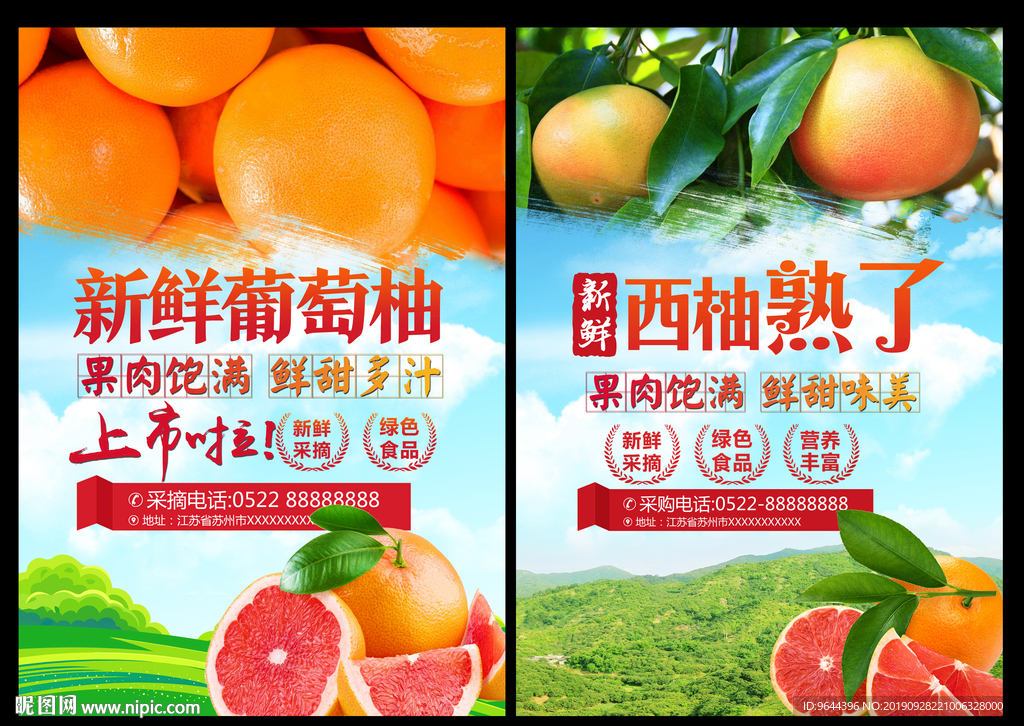 西柚海报