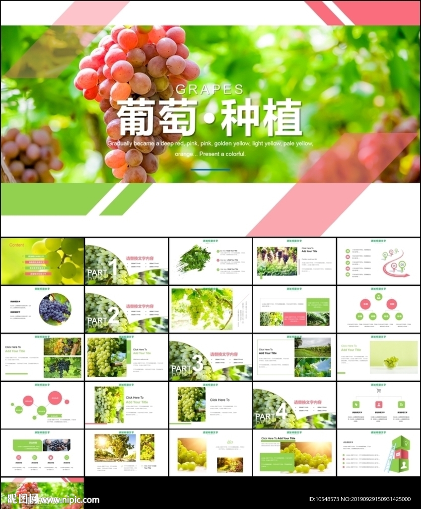 葡萄采摘葡萄园种植产业ppt
