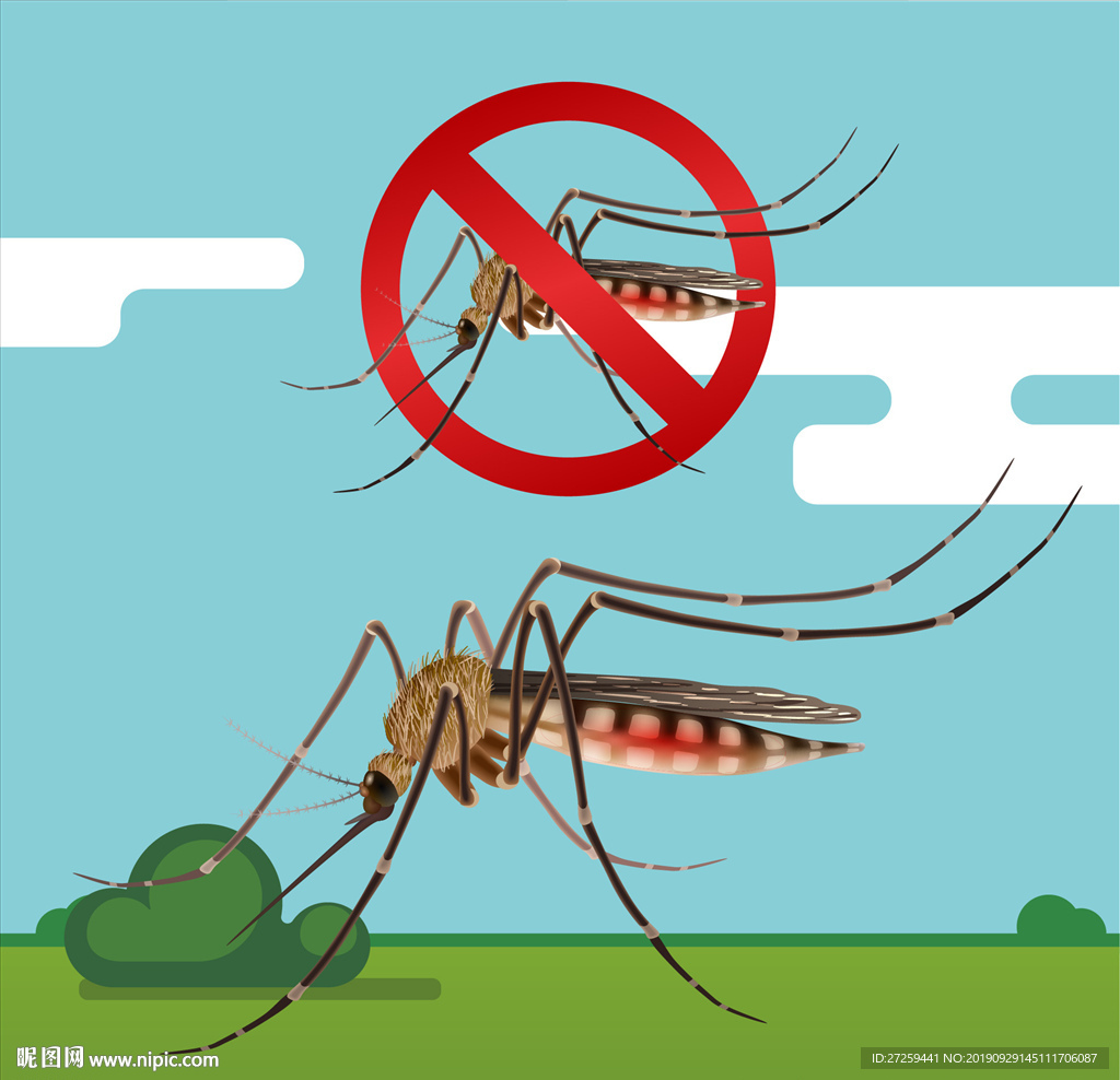 矢量蚊子