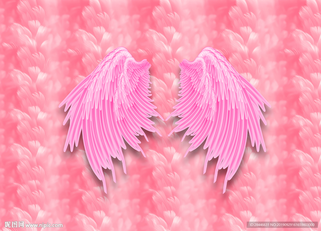 网红背景拍照翅膀