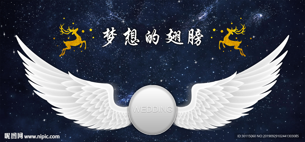 梦想的翅膀