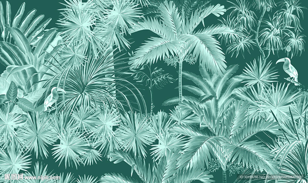 热带植物背景