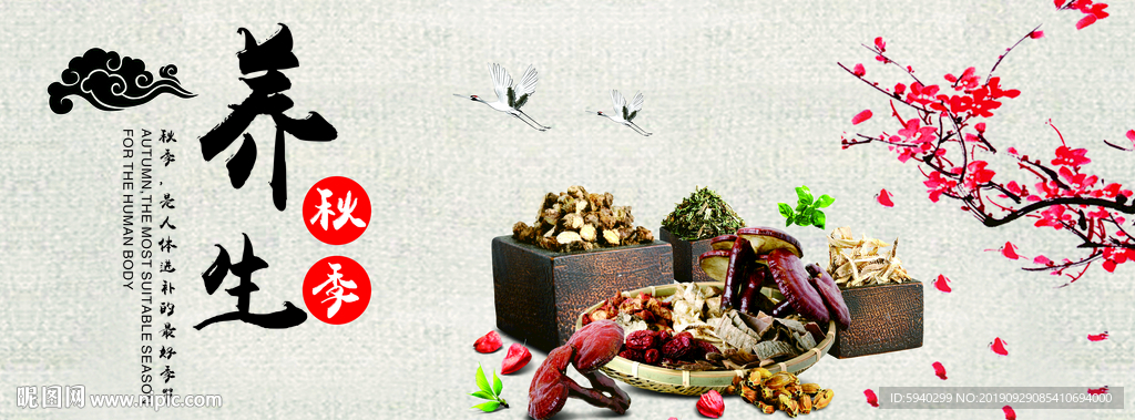 水墨画  秋季养生 梅花 云