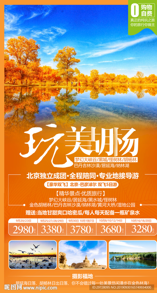 胡杨林旅游海报 内蒙古旅游海报