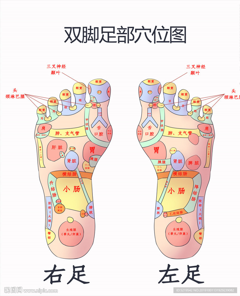 双脚足部穴位图