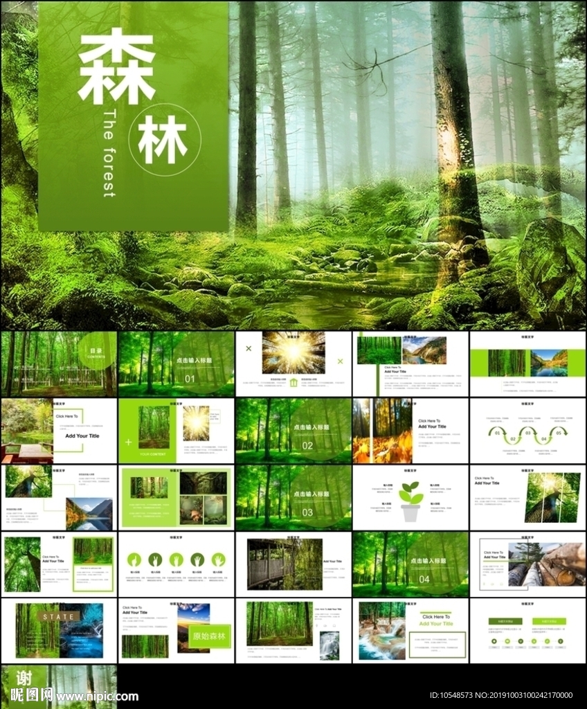 森林宣传低碳日主题班会ppt