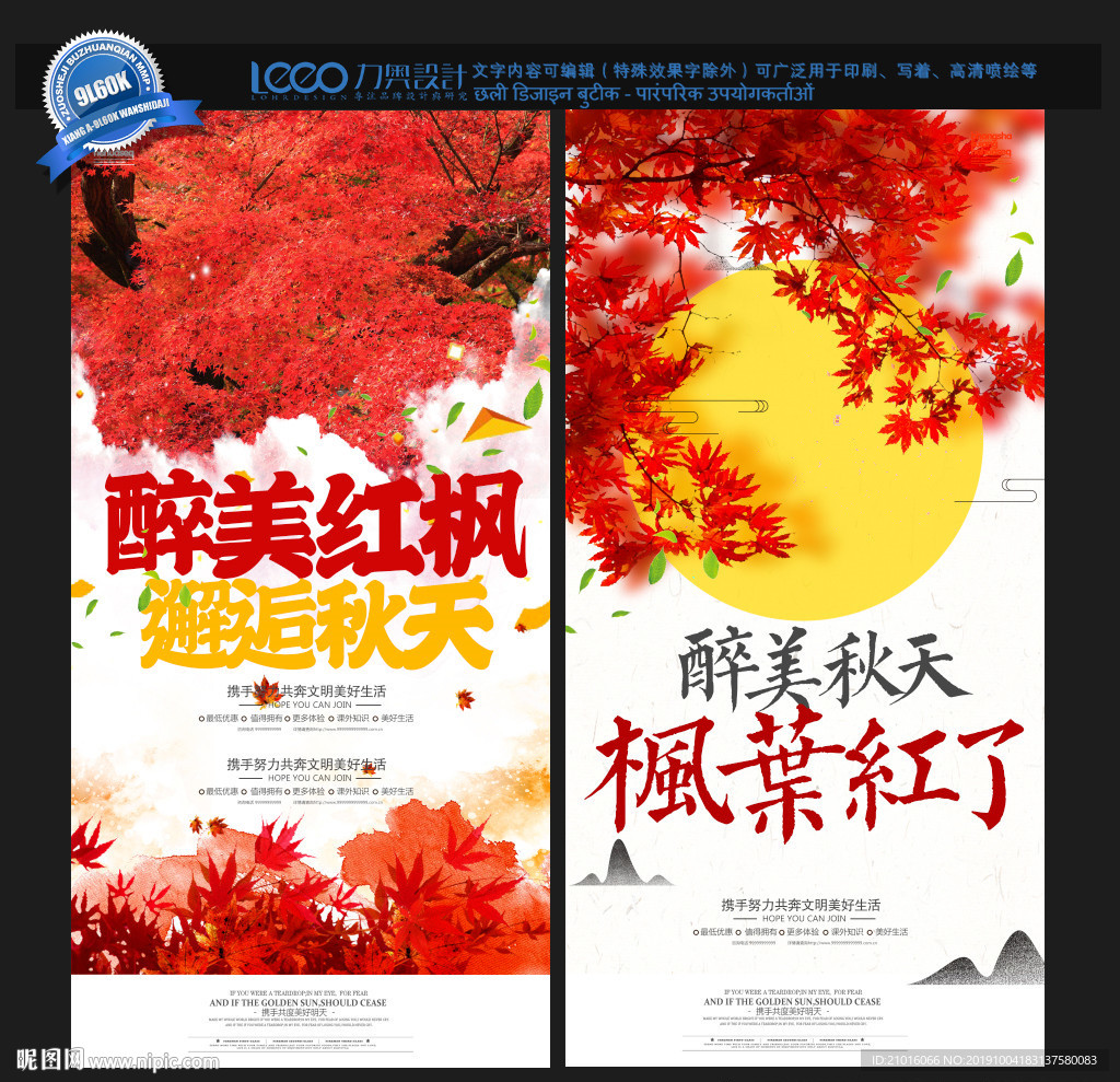 枫叶