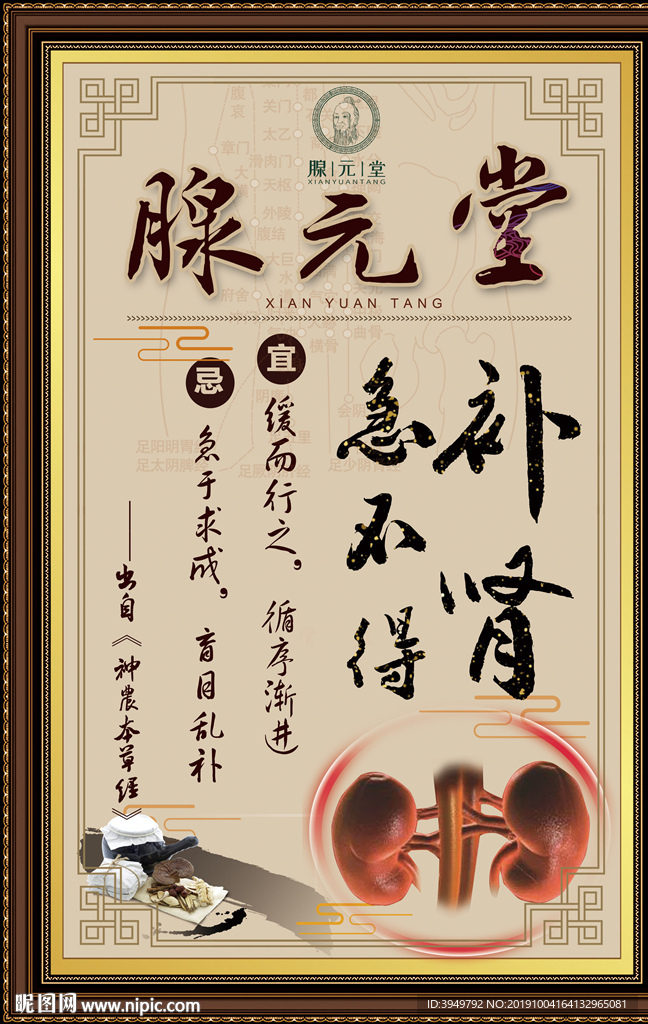 腺元堂 养肾补肾