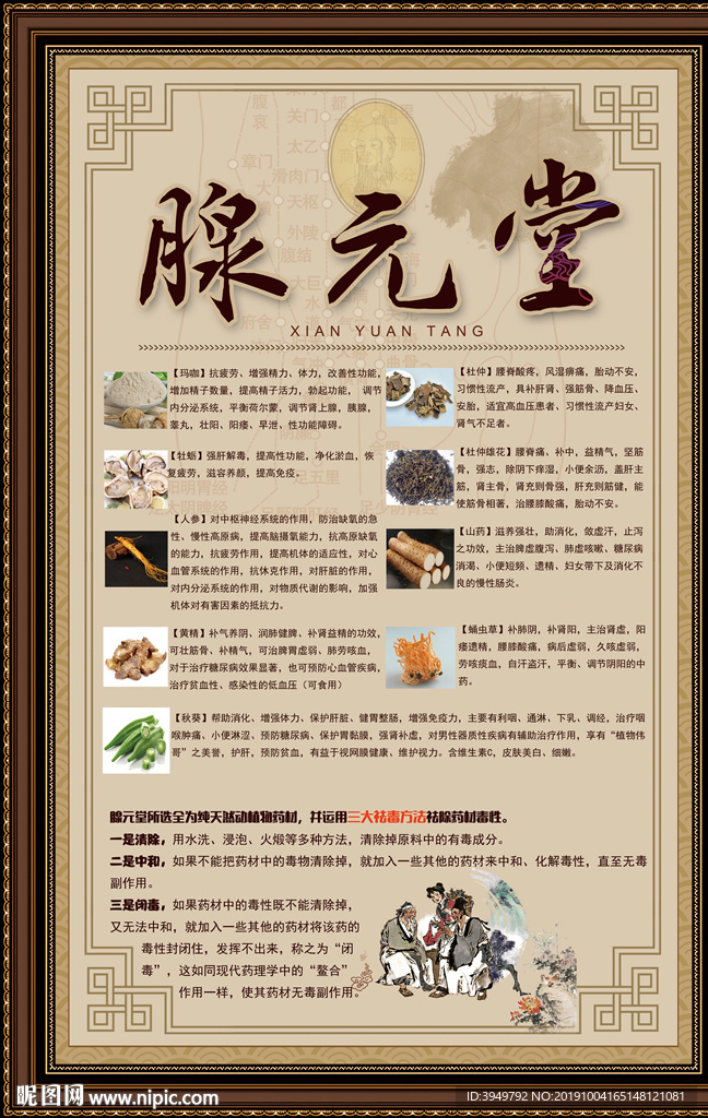 腺元堂 养肾补肾