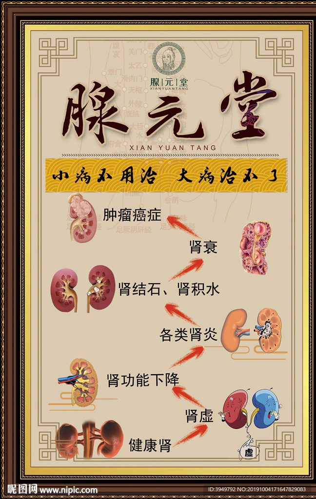腺元堂 肾病的变化