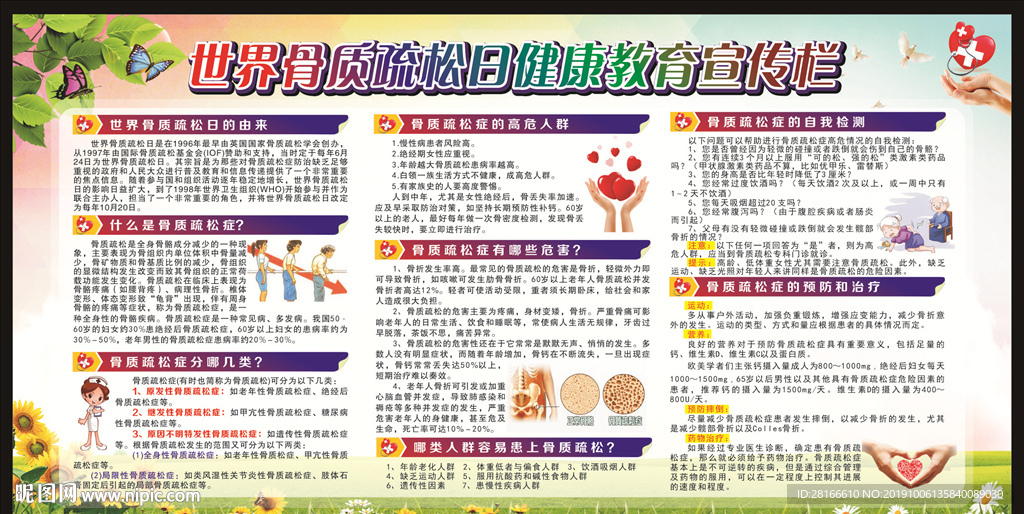 世界骨质疏松日宣传栏