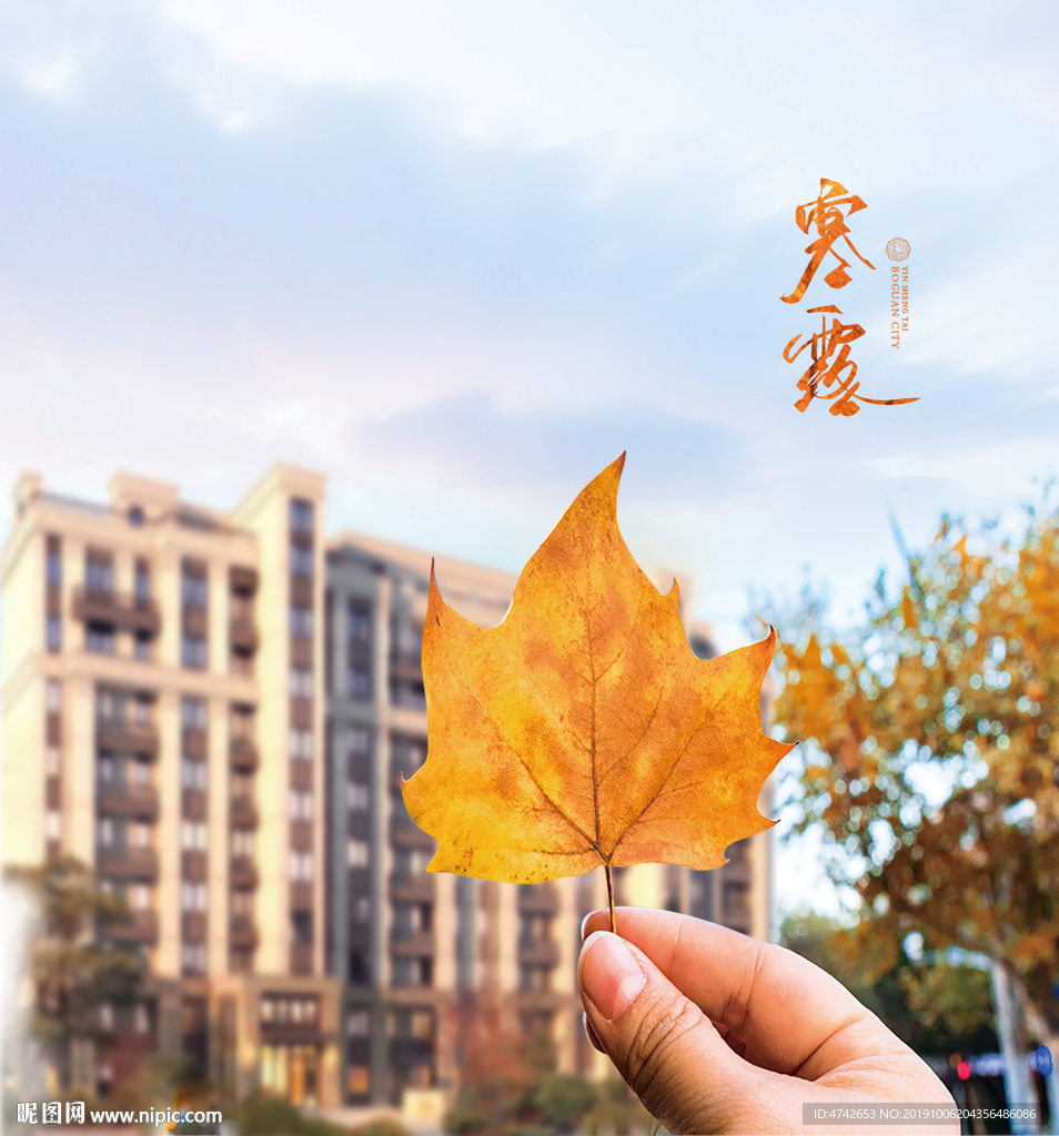 房地产寒露手拿树叶图片
