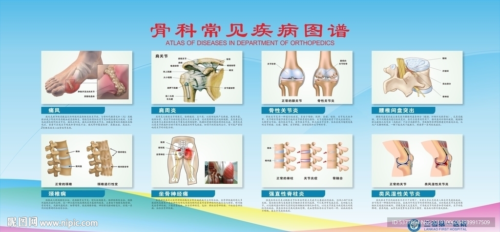 骨科常见疾病图谱