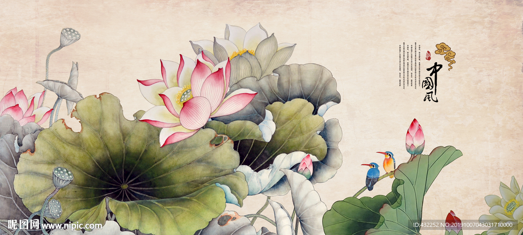 荷花