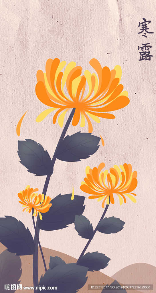 秋天菊花