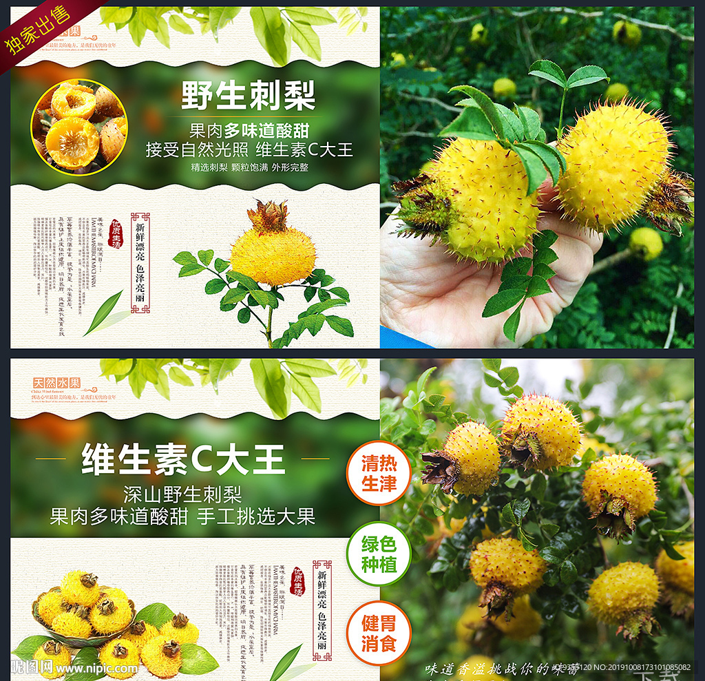 贵州山王果高标准铸就高质量刺梨产品 - 贵州省刺梨行业协会