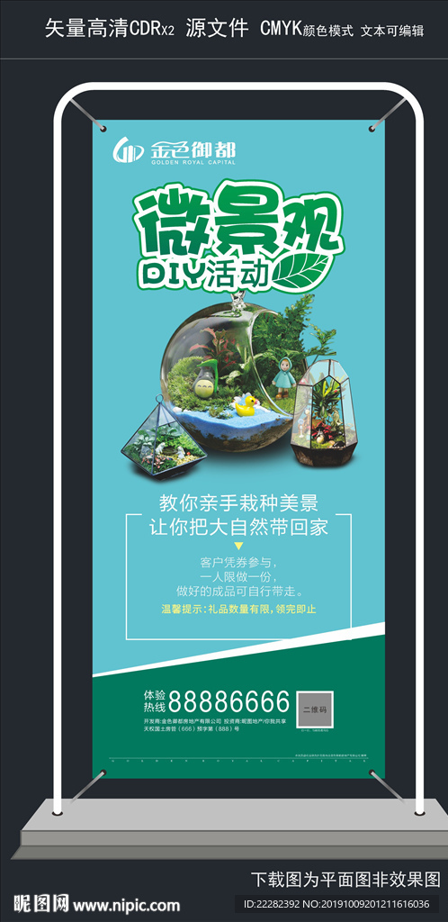 微型景观 微景观植物