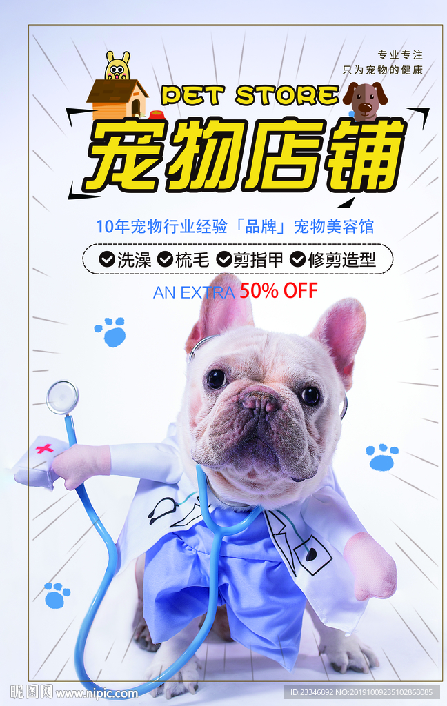 宠物
