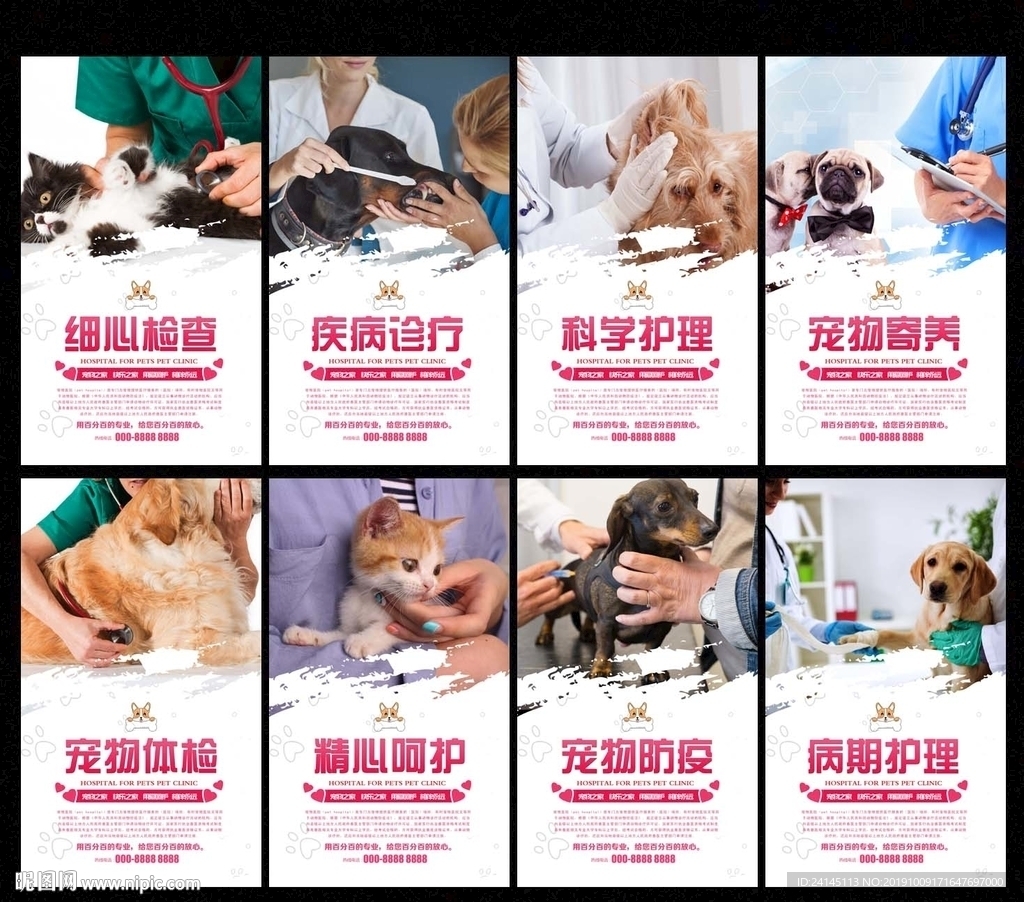 宠物诊所