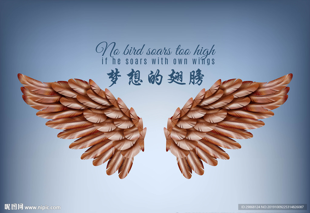 梦想的翅膀