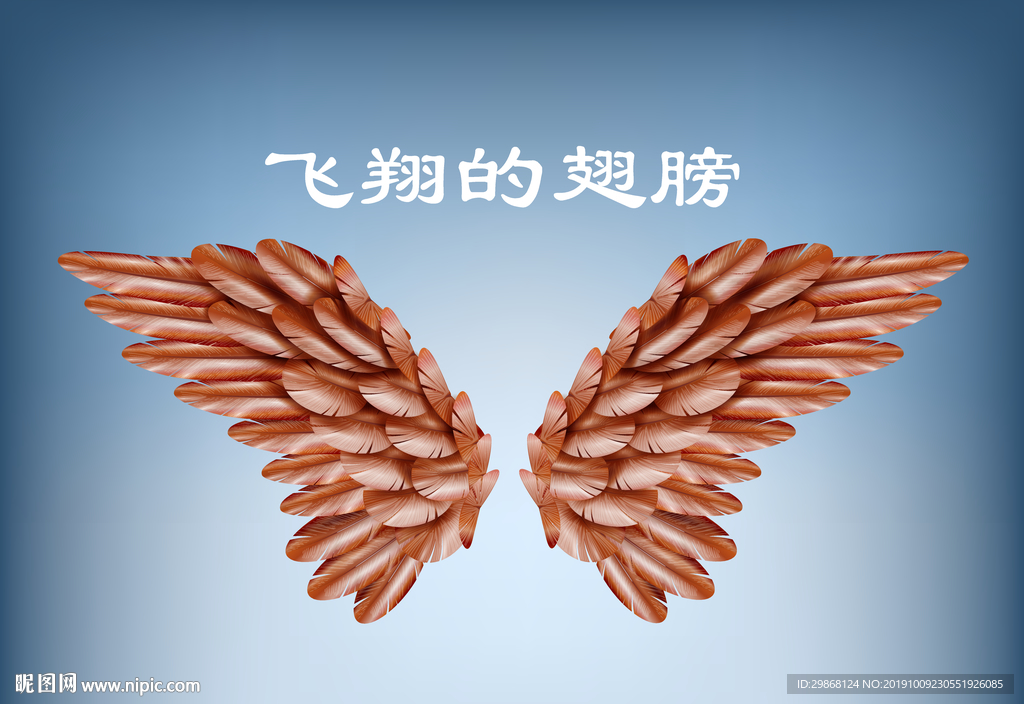 飞翔的翅膀
