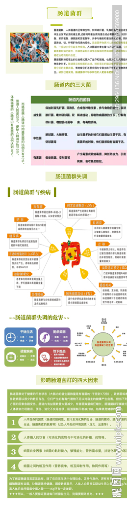 产品海报详情页