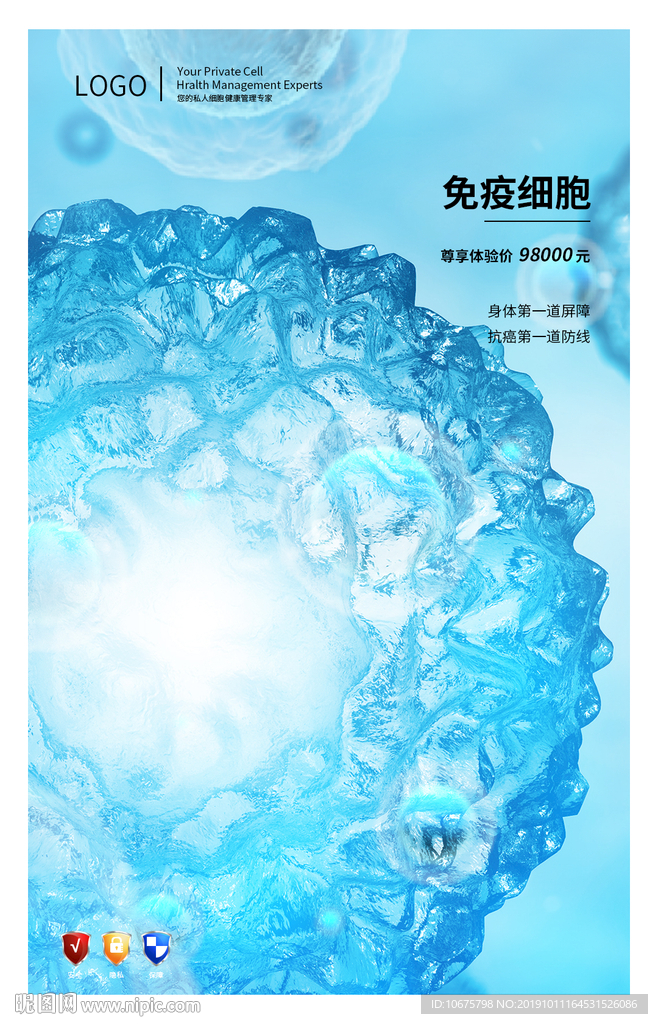 干细胞