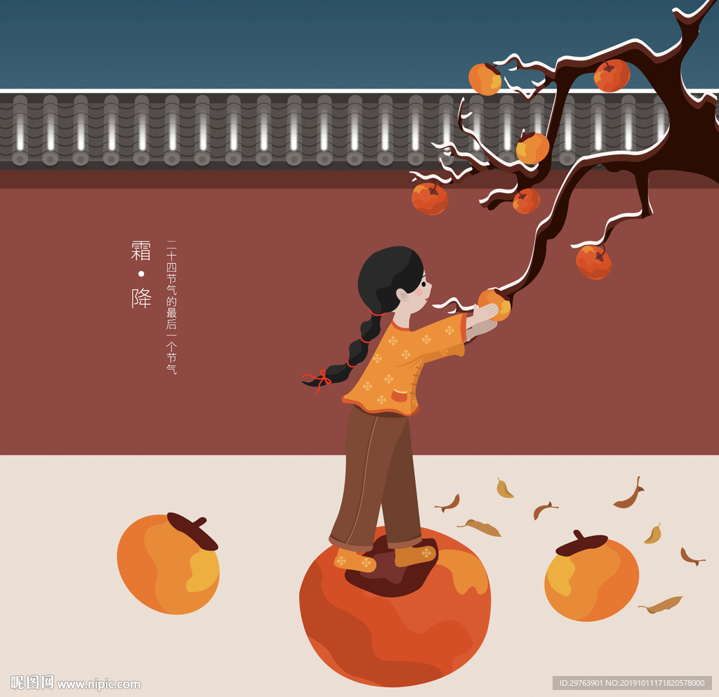 手绘霜降摘柿子的女孩插画