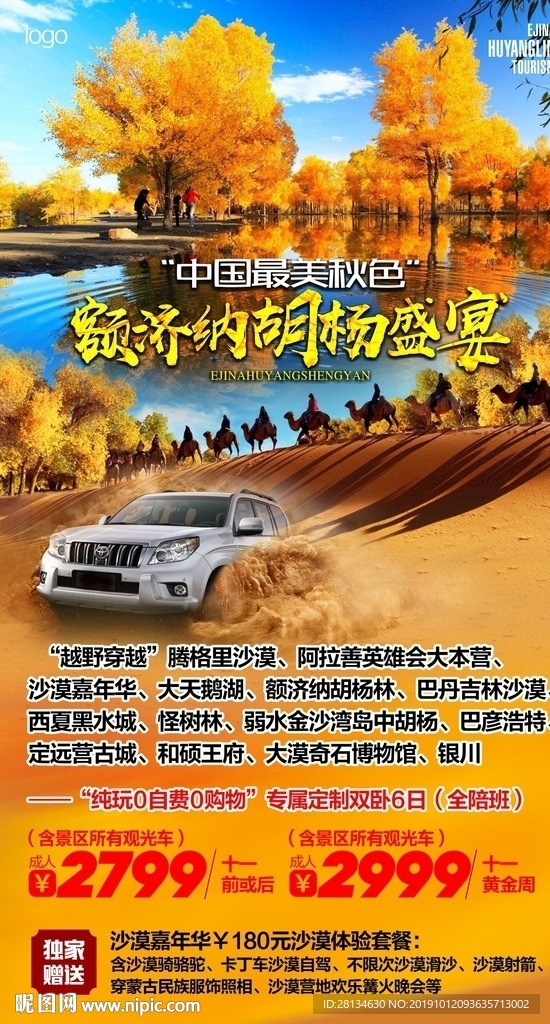 胡杨林01