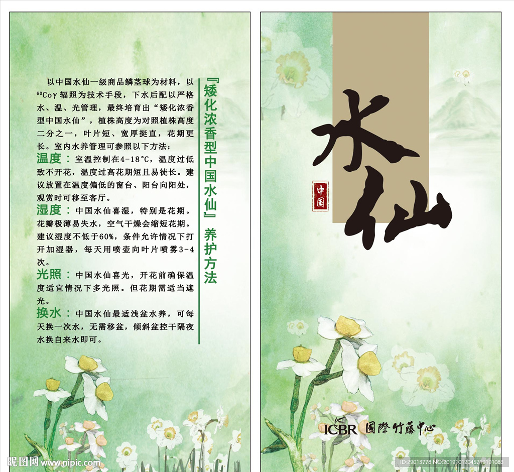 水仙花 吊牌